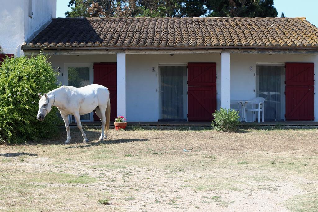 Mas Des Cypres Lägenhet Saintes-Maries-de-la-Mer Exteriör bild