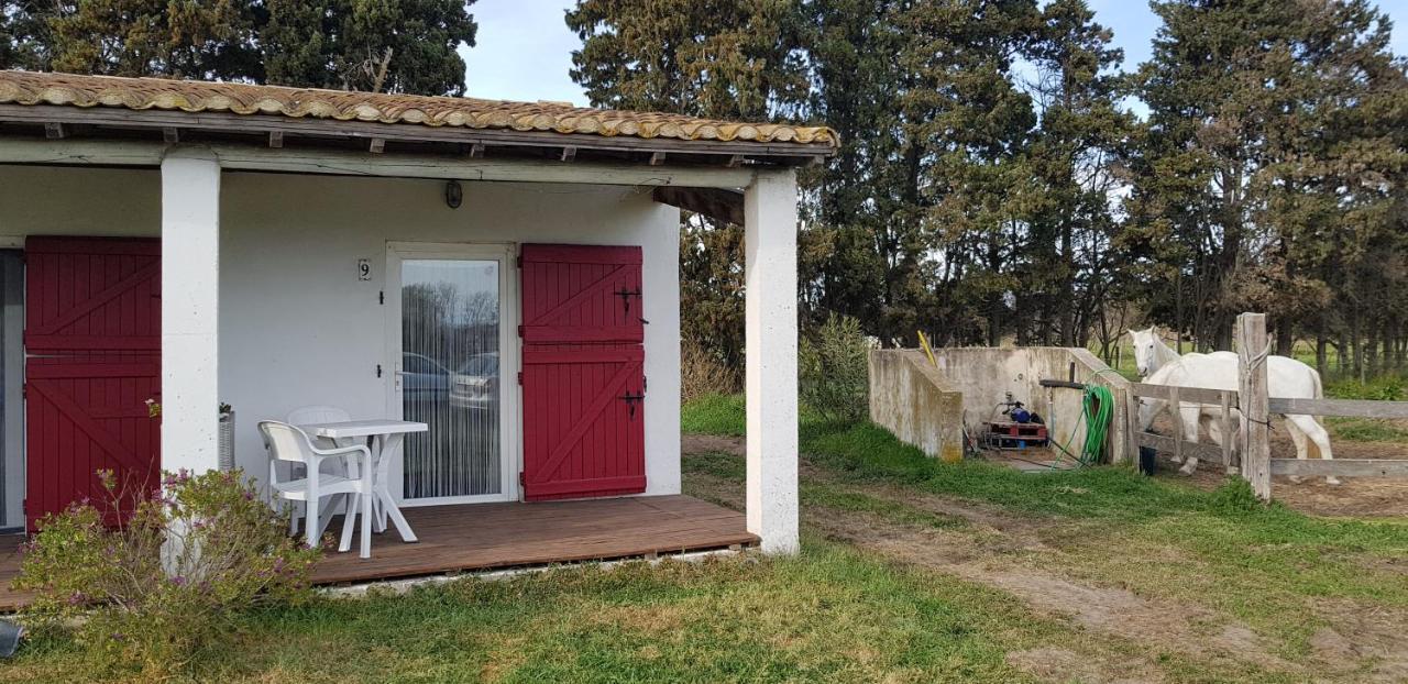 Mas Des Cypres Lägenhet Saintes-Maries-de-la-Mer Exteriör bild