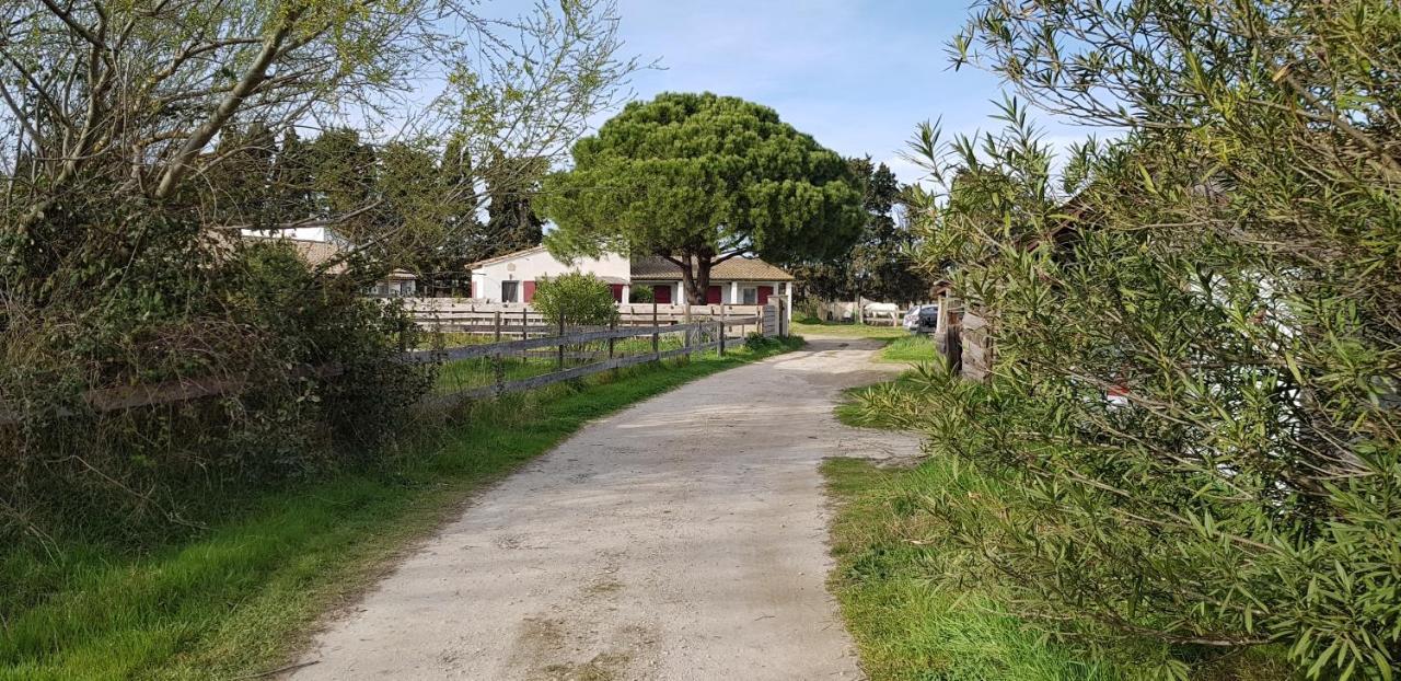 Mas Des Cypres Lägenhet Saintes-Maries-de-la-Mer Exteriör bild